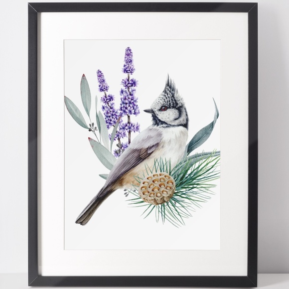 Other - Watercolor Wall Art Print Crested Tit Illustration Unframed